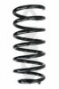 SPIDAN 48377 Coil Spring